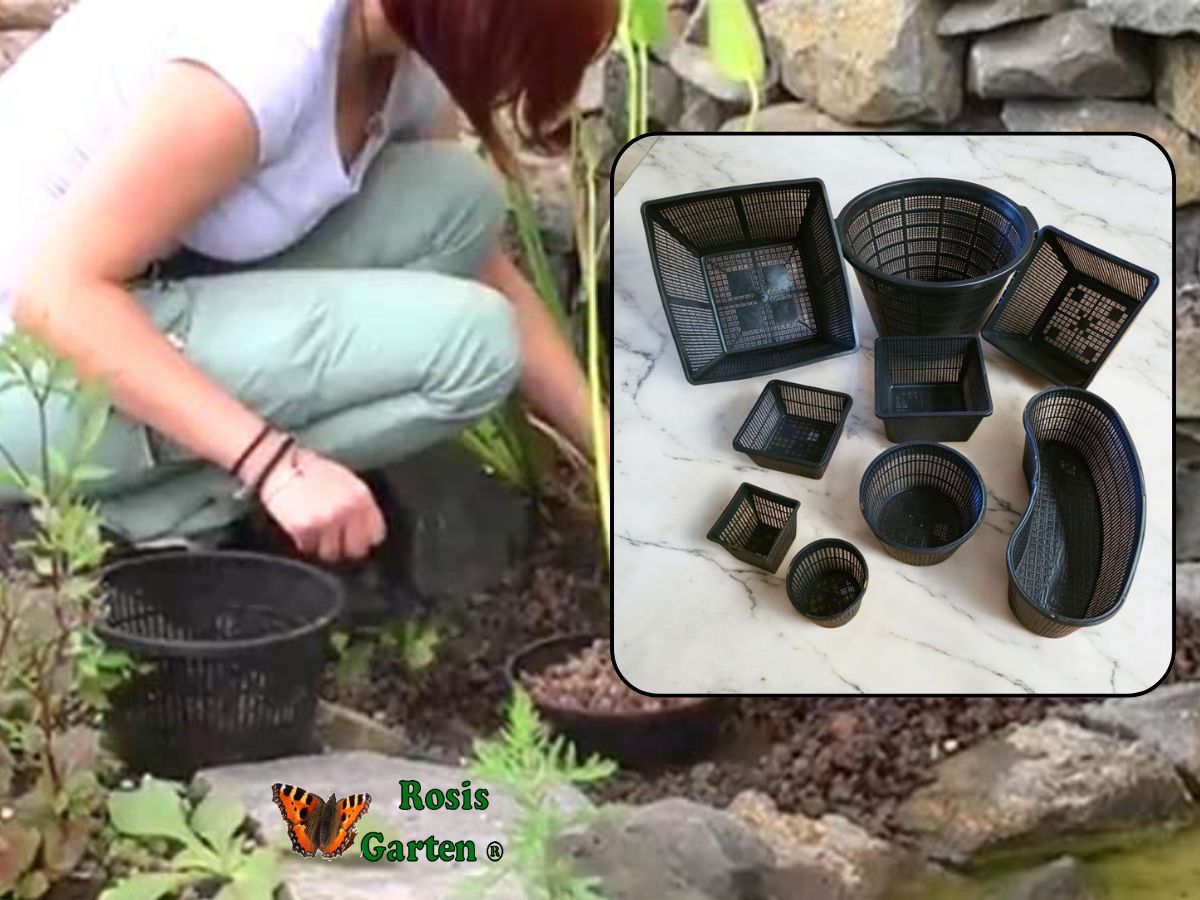 Pflanzkörbe für Teichbau